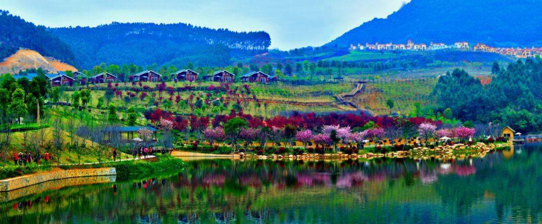 12月26日周日发团特价超值88元起长泰小黄山十里蓝山花海寻梦谷观瀑布