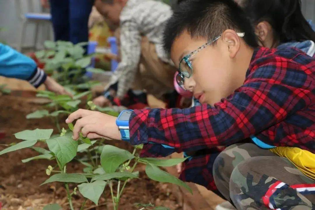 机构|征集 | 朱爱朝校长领衔的二十四节气课程，开放征集实验学校（机构）和班级啦~