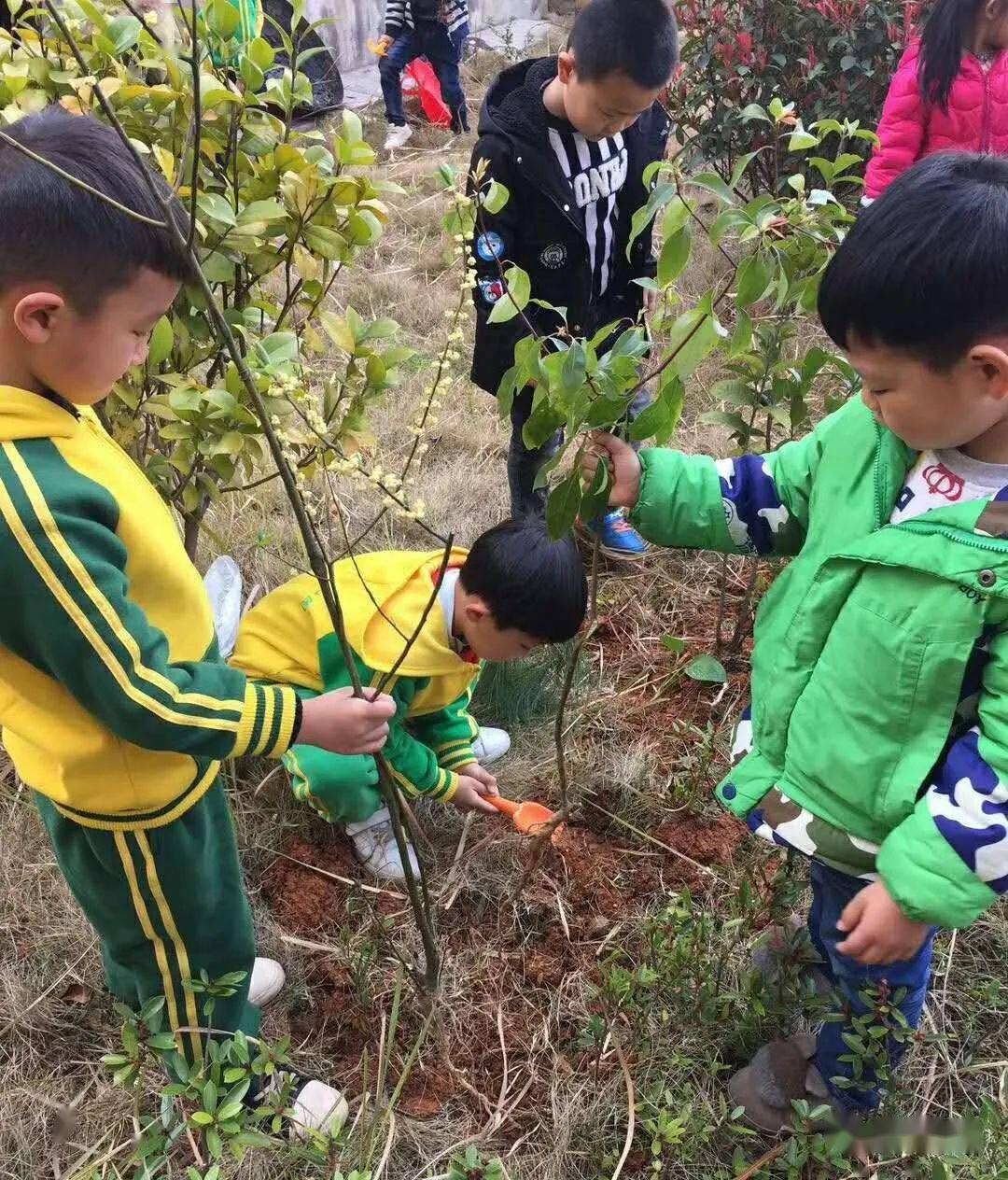 活动|您的选择，孩子的未来——清华宝贝幼儿园招生啦！