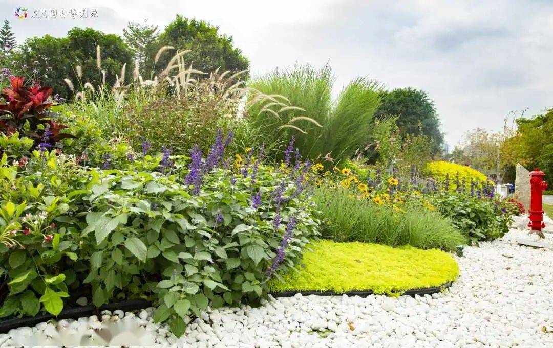 的色彩节奏韵律,植物质感和肌理,营造出宁静,温馨祥和的花境植物景观