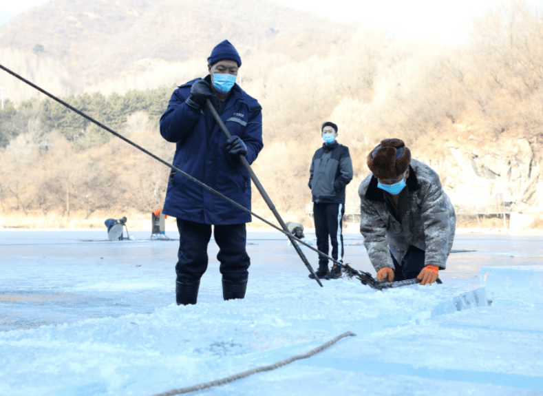 冰灯|龙庆峡取冰喽！冰灯冰雪季明年1月中旬开幕