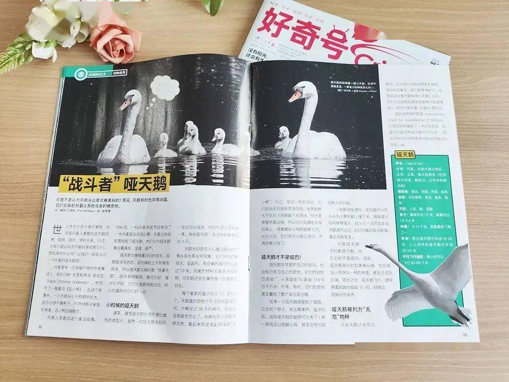 少儿|精选5套原版杂志于一体，“全领域通识教育”少儿期刊《好奇号》限时特价啦！