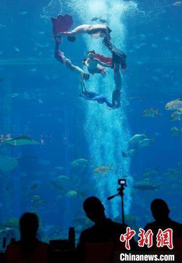 年輕人|“美人魚”國(guó)家級(jí)表演賽三亞落幕