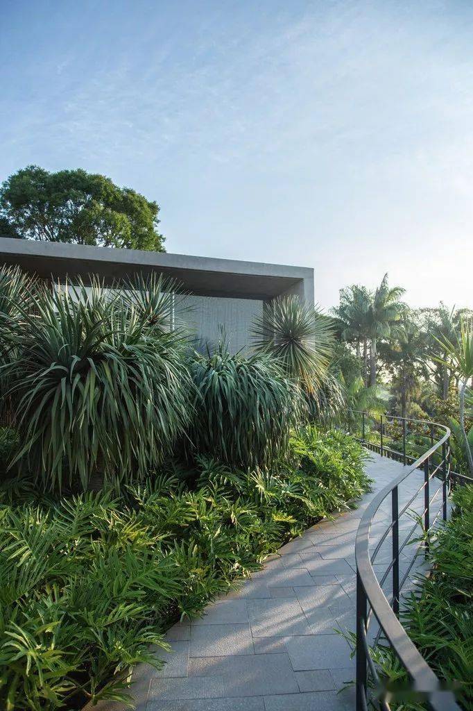 jardim_微信_新景观