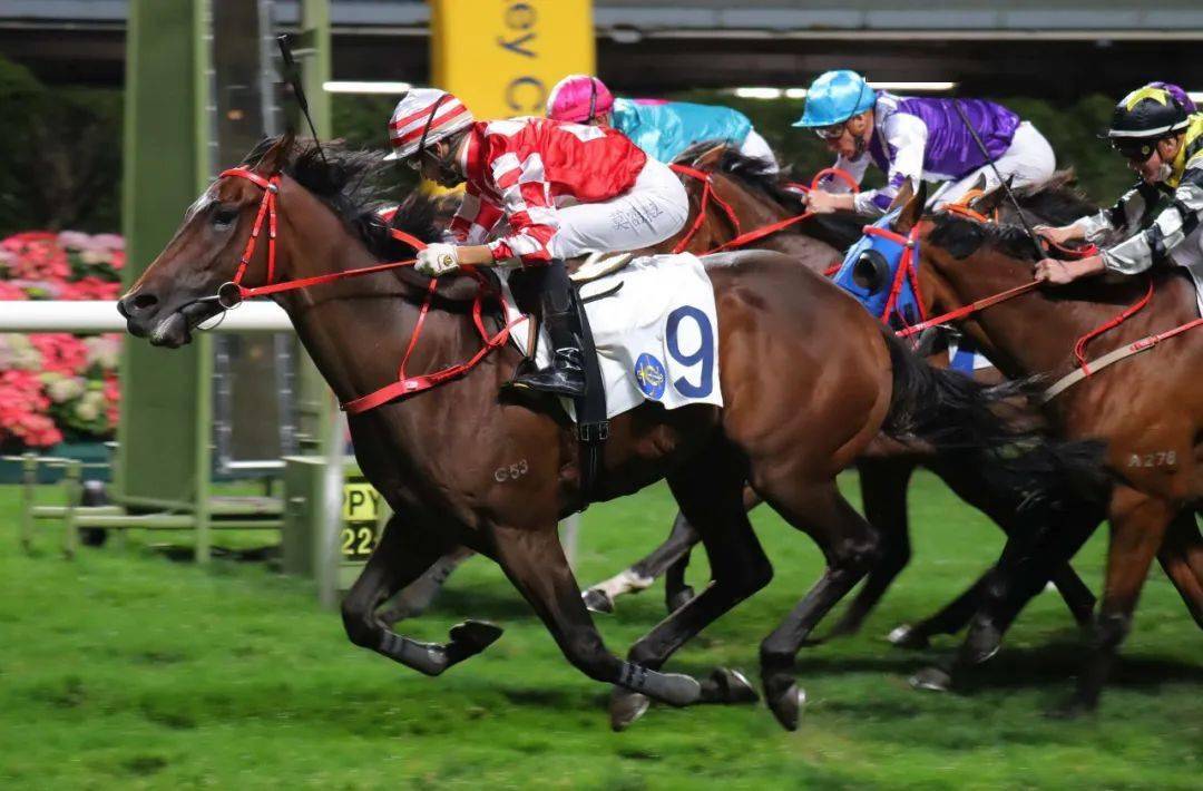 跑马地赛事莫雷拉为霍利时赢得送行马