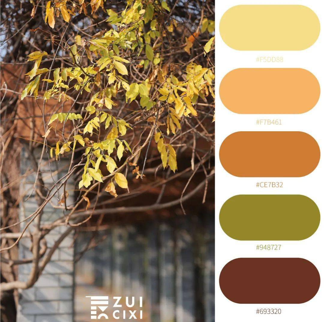 慈溪的冬天有多美!(内含福利)