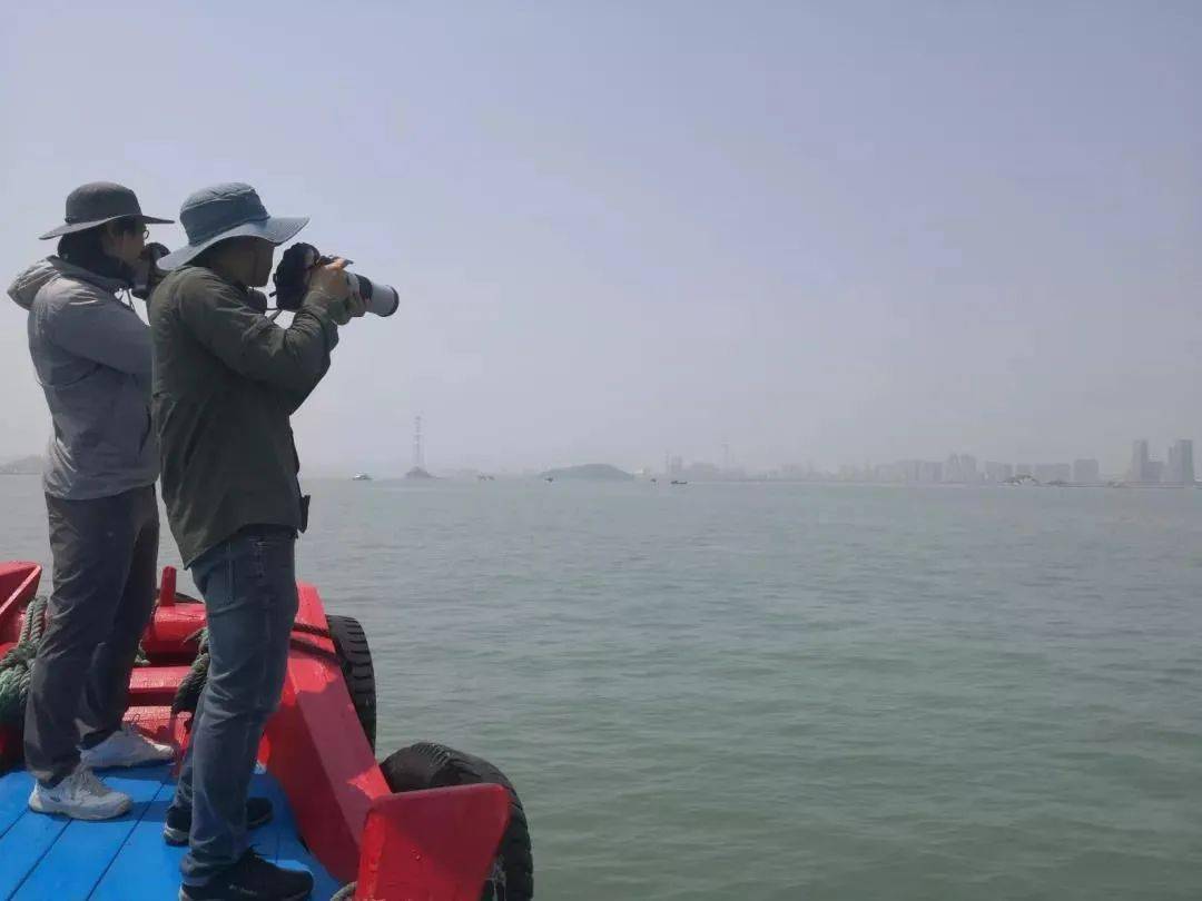 拍照怎么才能拍的更白 52cce55387504f1683ff1f0f0dde1f06.jpeg