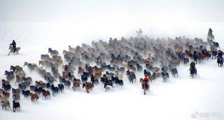 雪原|新疆昭苏马踏雪原景象壮观