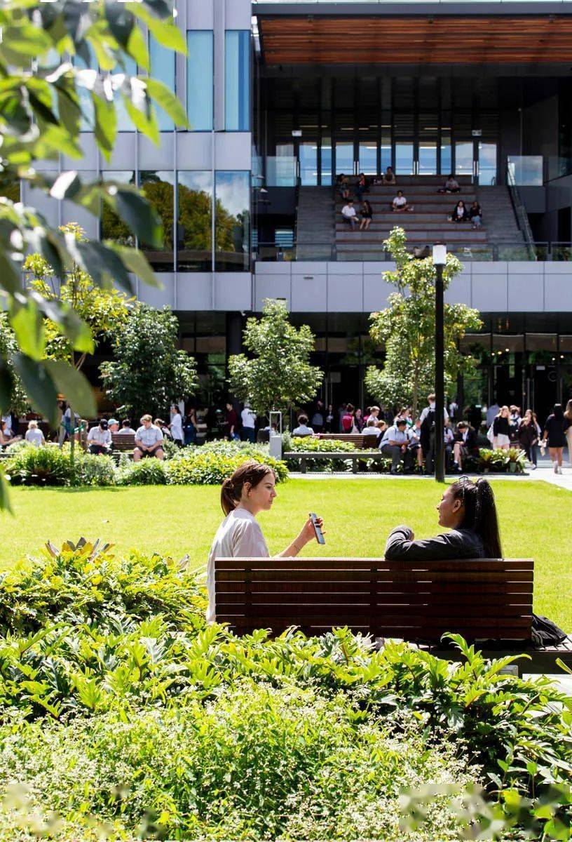 设计麦考瑞大学的新中央庭院重新构想了传统的校园生活