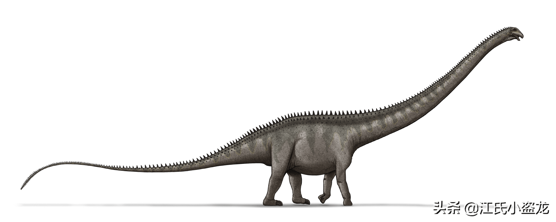 最长恐龙体长42米!超过蓝鲸