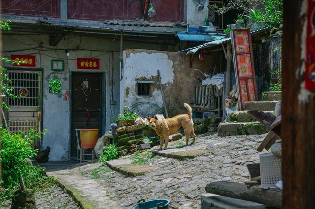 三河镇 三江交汇之处 有一座神奇的村子 还建了城墙 梅江 地方 古镇