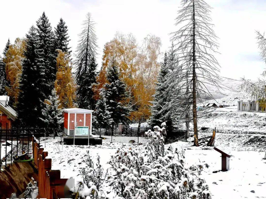 白哈巴2021年的第一场雪