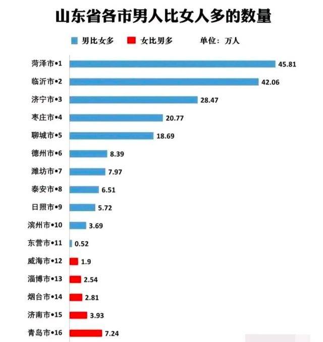 山东男女比例