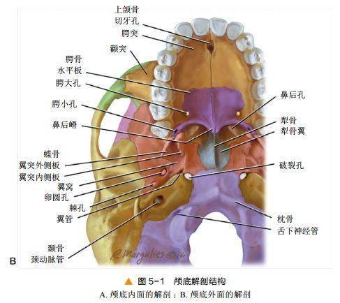 顱底及鼻竇ct軸冠矢解剖_圖像_影像_微信