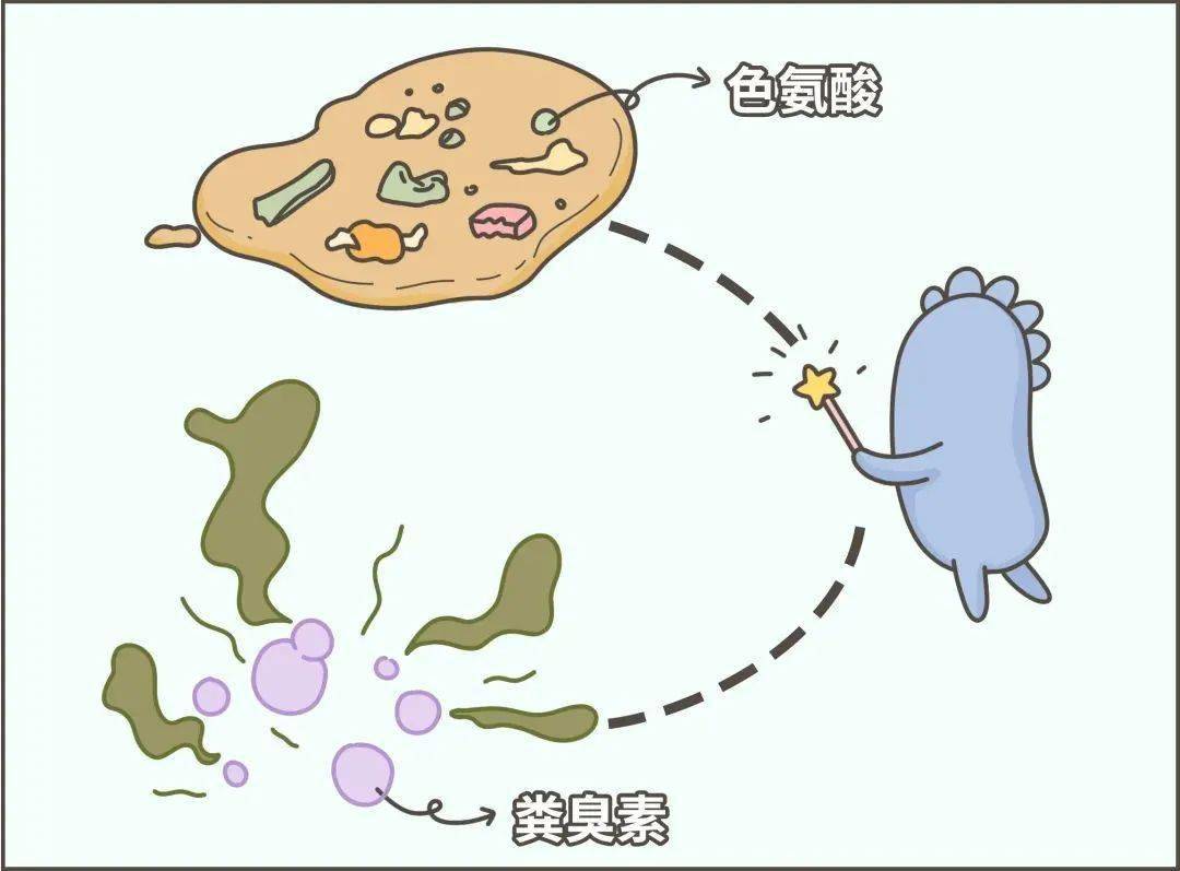臭味|到底吃什么了？有些人的屎怎么会那么臭！