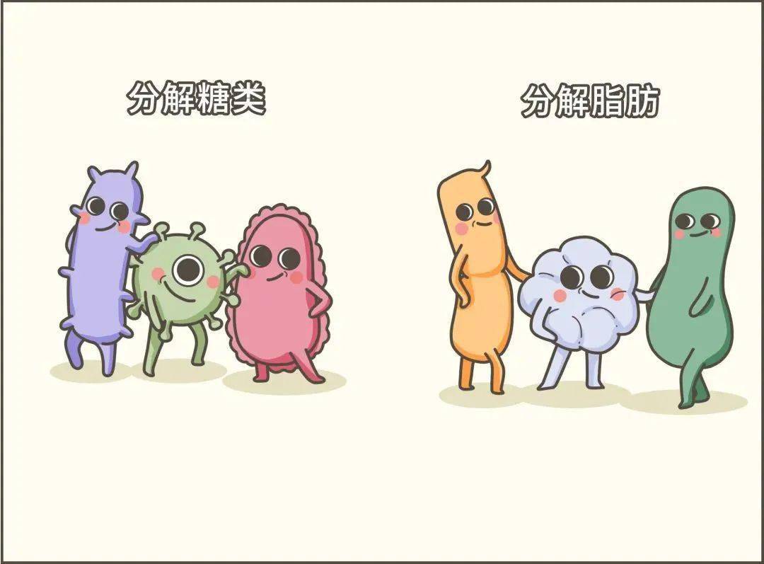 臭味|到底吃什么了？有些人的屎怎么会那么臭！