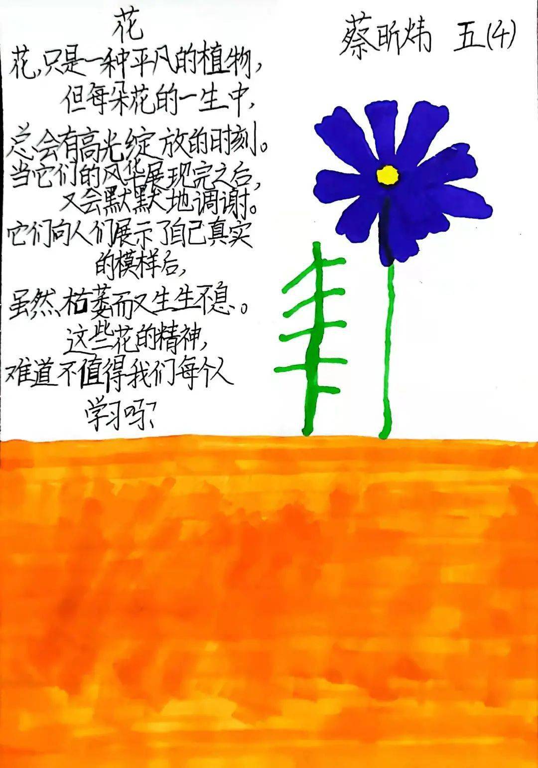 永远的秋樱花——五4班孩子们的秋樱现代诗报道之一