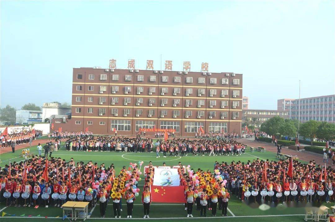 合肥肥东志成双语学校招聘教师公告