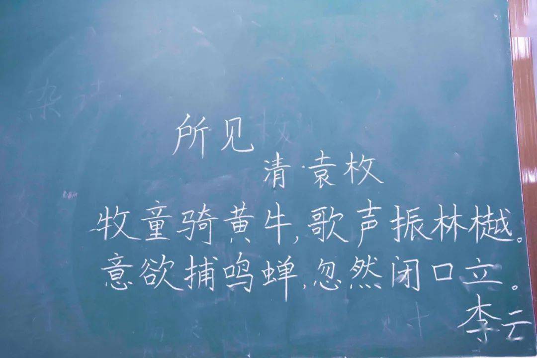 我校小学部举行教师粉笔字书写大赛