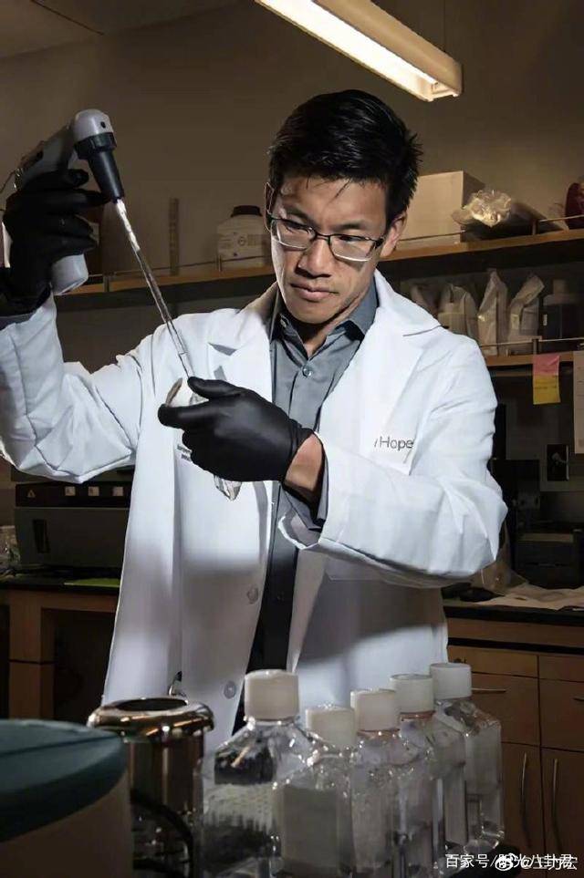 明星兄弟姐妹身份揭秘,王力宏哥是医学博士,任达华哥位高权重_哥哥