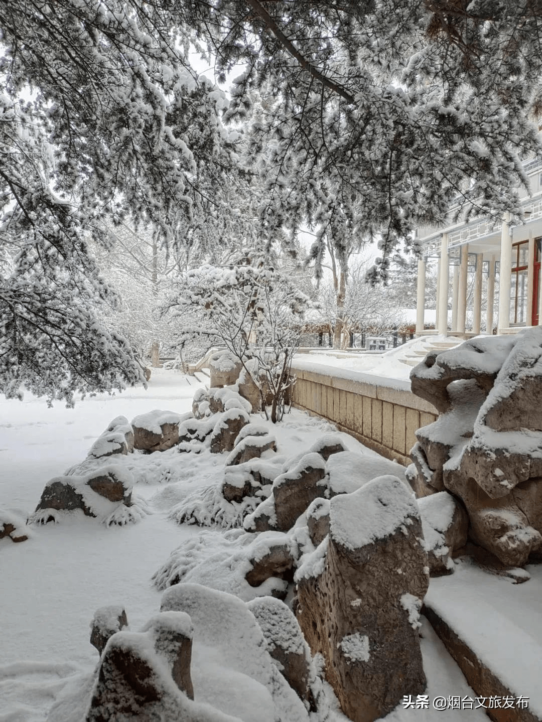 雪花|琼瑶匝地！“雪窝烟台”盛装亮相