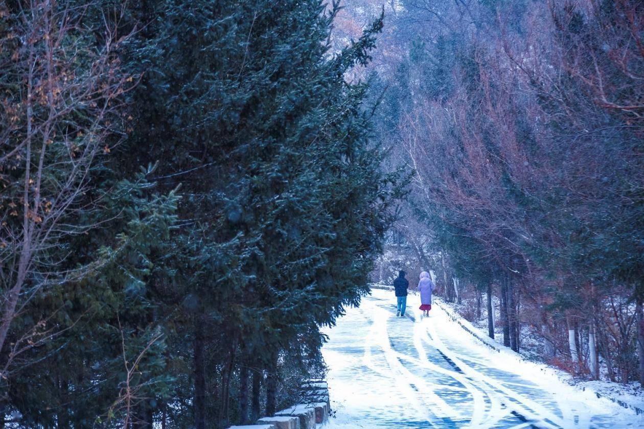 济南|山东济南九如山雪后银装素裹 飞瀑冰封