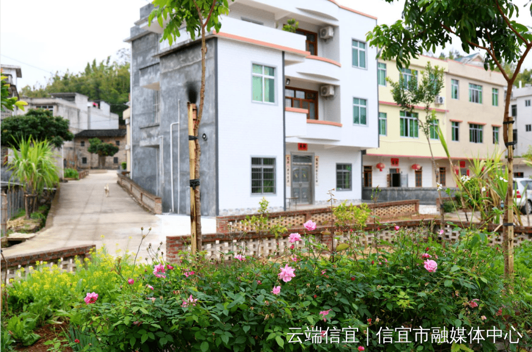 越来越靓信宜朱砂镇不断刷新颜值是你家乡吗