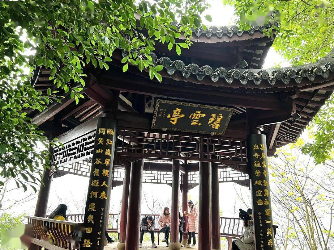 涪陵再添新景,点易园景区正式开园,惊艳亮相!