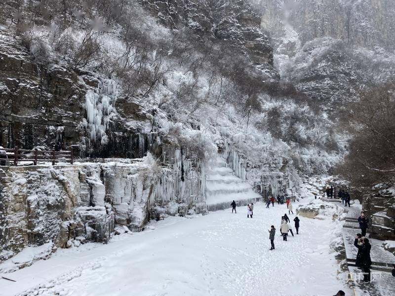 非法|河南云台山雪景冰瀑“同框” 上线冬季限定美景