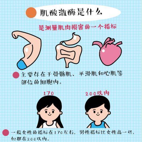 健身小课堂丨用力过猛得横纹肌溶解症麻烦了