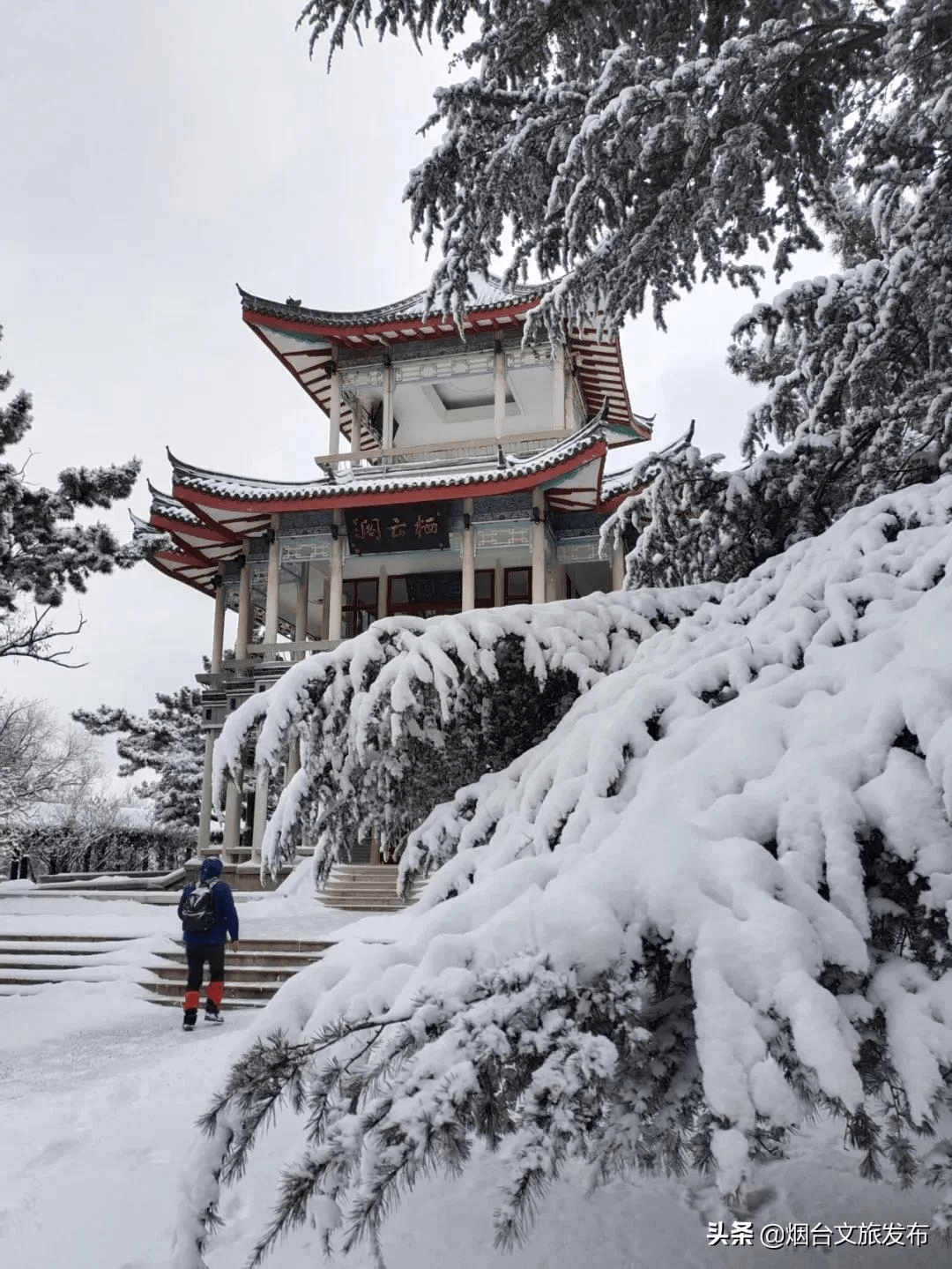 雪花|琼瑶匝地！“雪窝烟台”盛装亮相