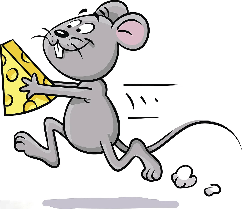 谨以此文纪念不翼而飞的红皮鸭子饭