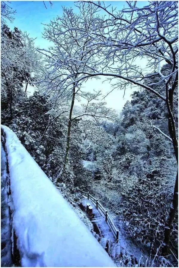 白天|成都“初雪”报到！