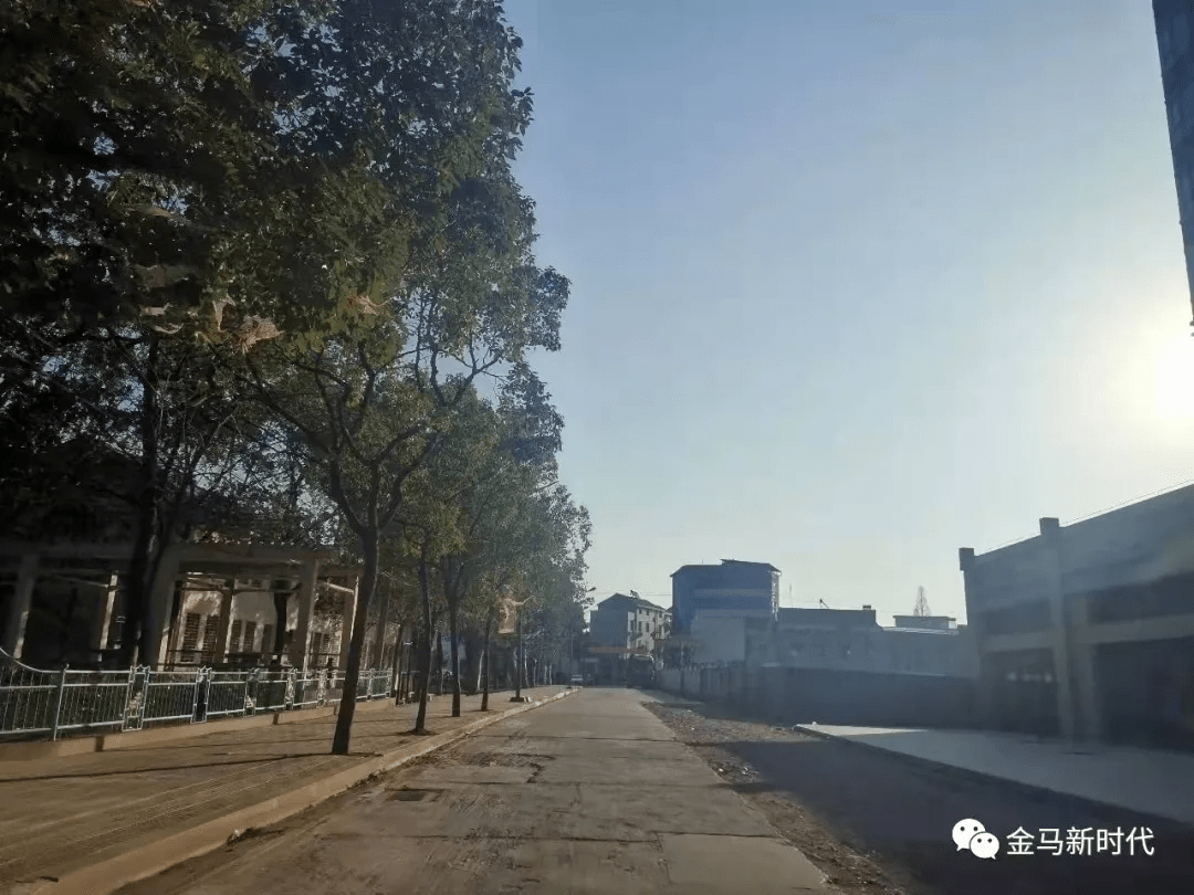 马口镇区道路修建改造进展情况