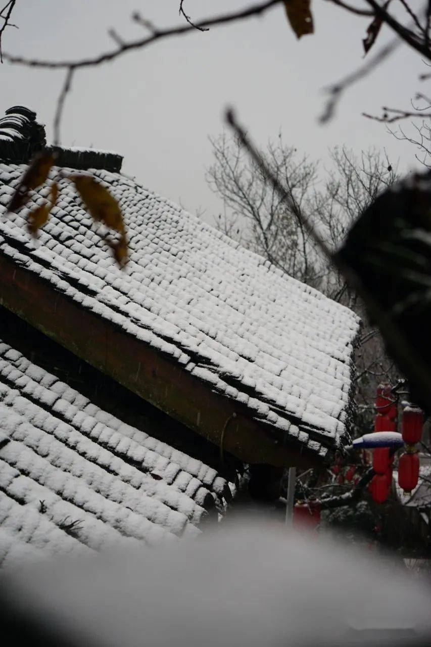 雪景|不负众望！都江堰下雪啦！最美雪景在这里~