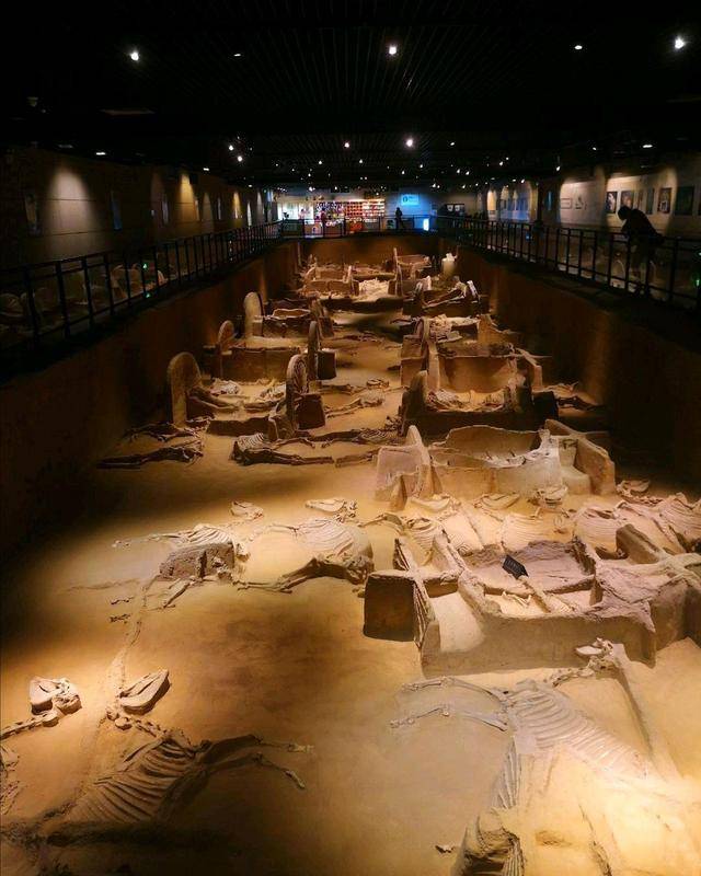 2002年底,由湖北省文物馆组织的考古团队,在枣阳市九连墩楚墓,抢救性