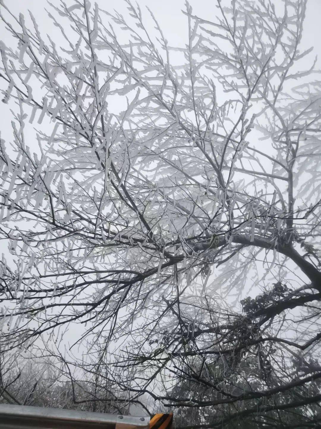 盛况|注意 | 封路啦！别开车去峰山看雪啦！