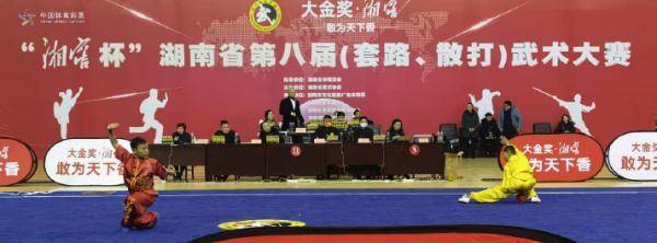 武术|2021年湖南省第八届武术大赛开幕
