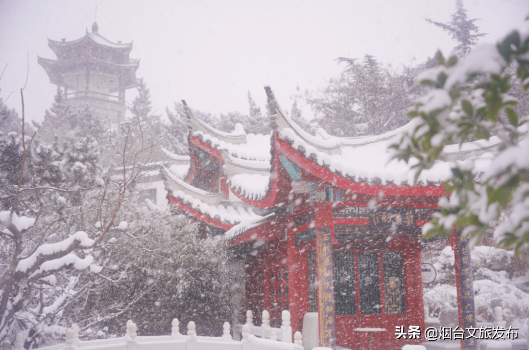 蓬莱|“雪窝”烟台变妆照，惊艳了全国！珍藏！