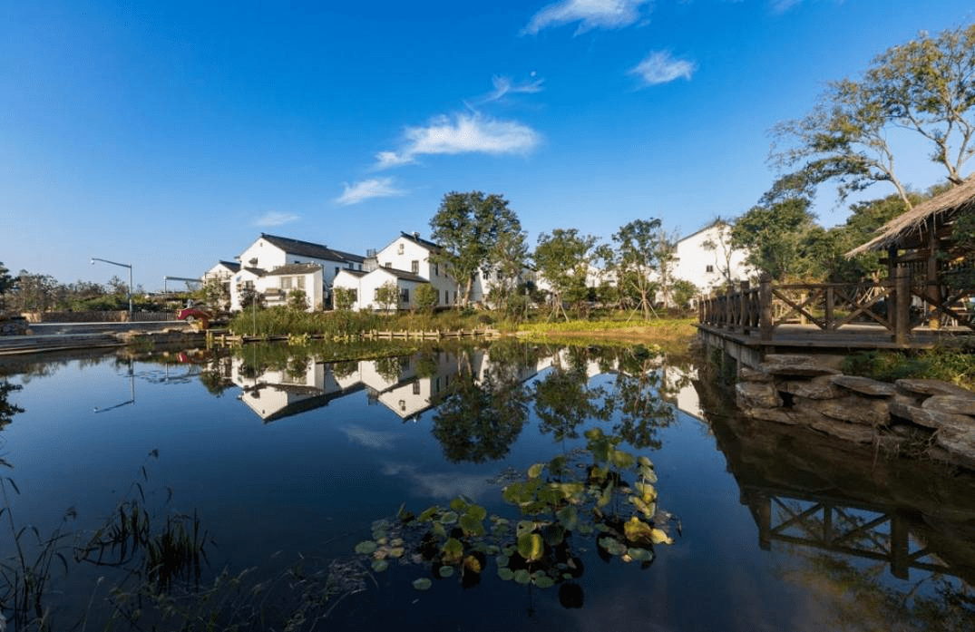 共同缔造美好吴中柳舍村藏在太湖边的民宿聚集地