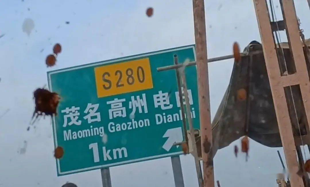 高州一张路牌竟有多处错字网友学费又白交了