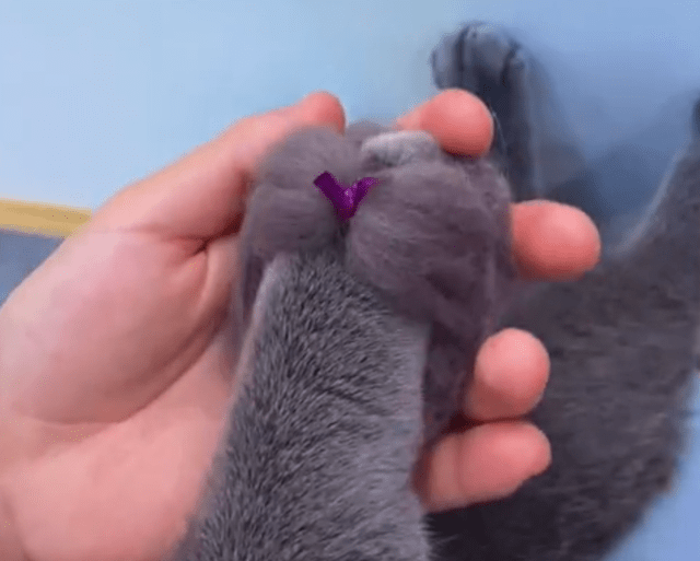3917f1bffce2434c9d85059f0325e0c3.png