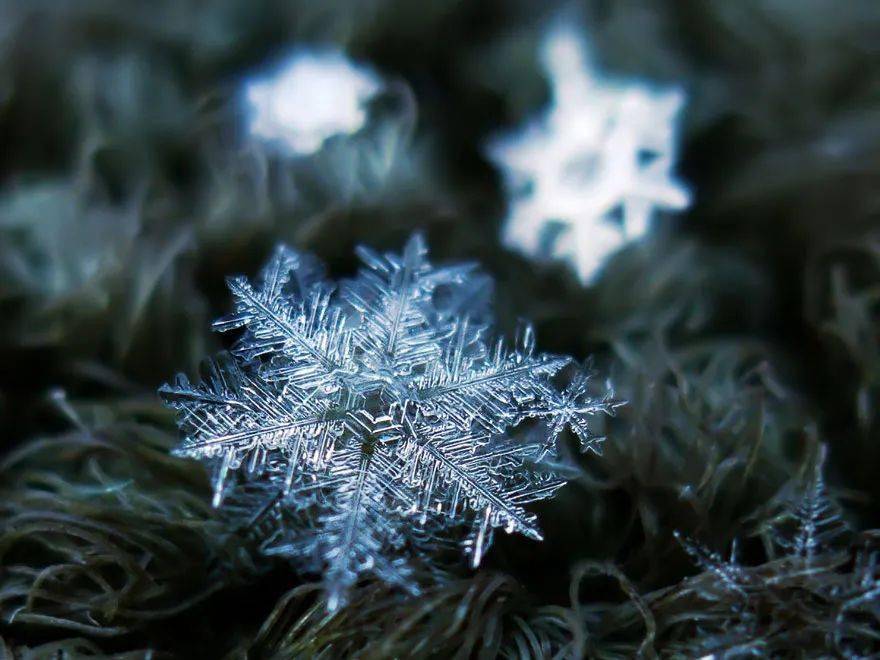 奥秘|他拍下世界最美68张照片，罕见三角形雪花曝光，8万人痴狂：宇宙终极奥秘是雪花！