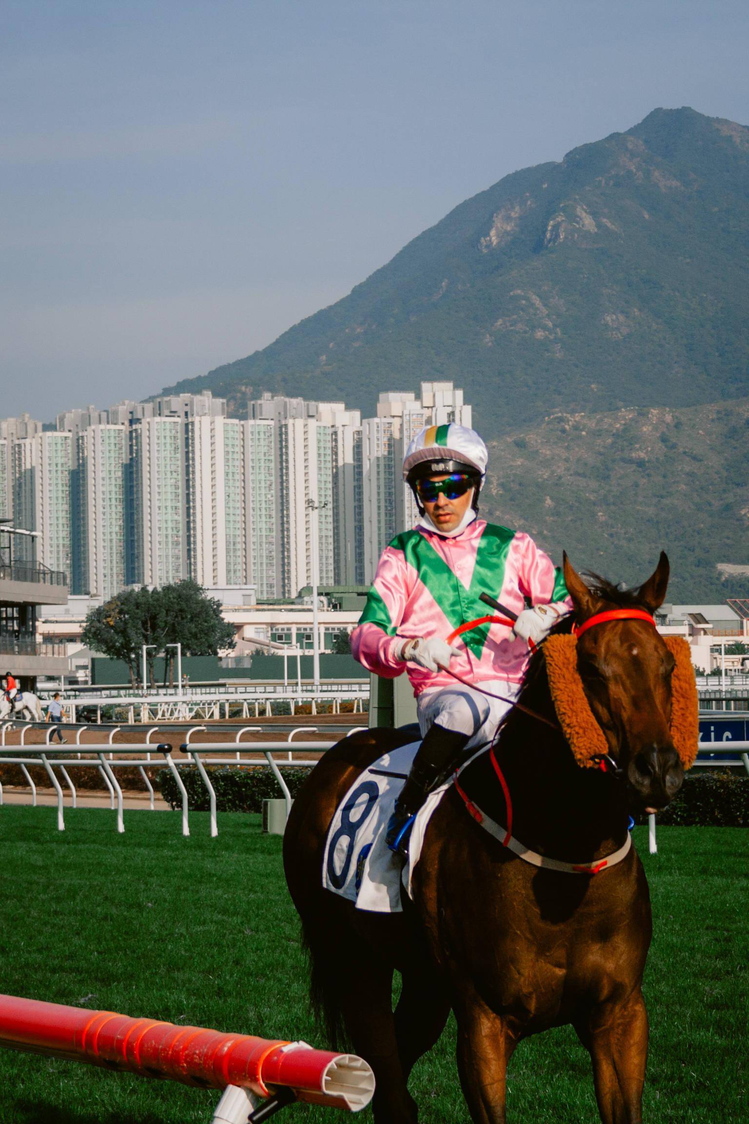 重看] 赛马娘Pretty Derby 第10集讨论: r/anime, image size:1536x2304