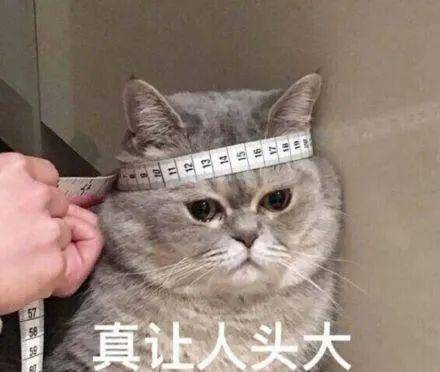 5db53c96892e4e248311ca766aa79752.jpeg