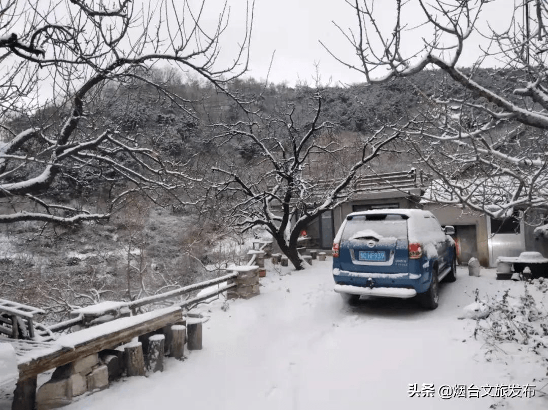 雪花|雪花里的海阳！最美赏雪点位来了！