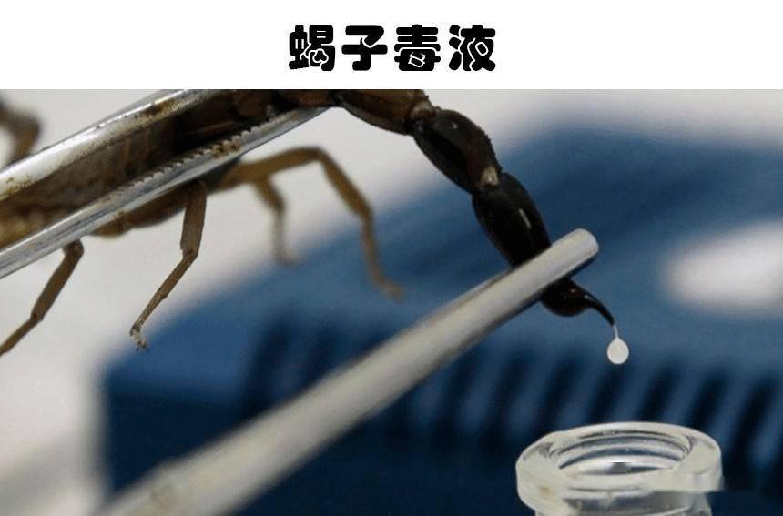 什么是世界上最难治的病 a00c327001ca48e79463993889d36ac9.jpeg