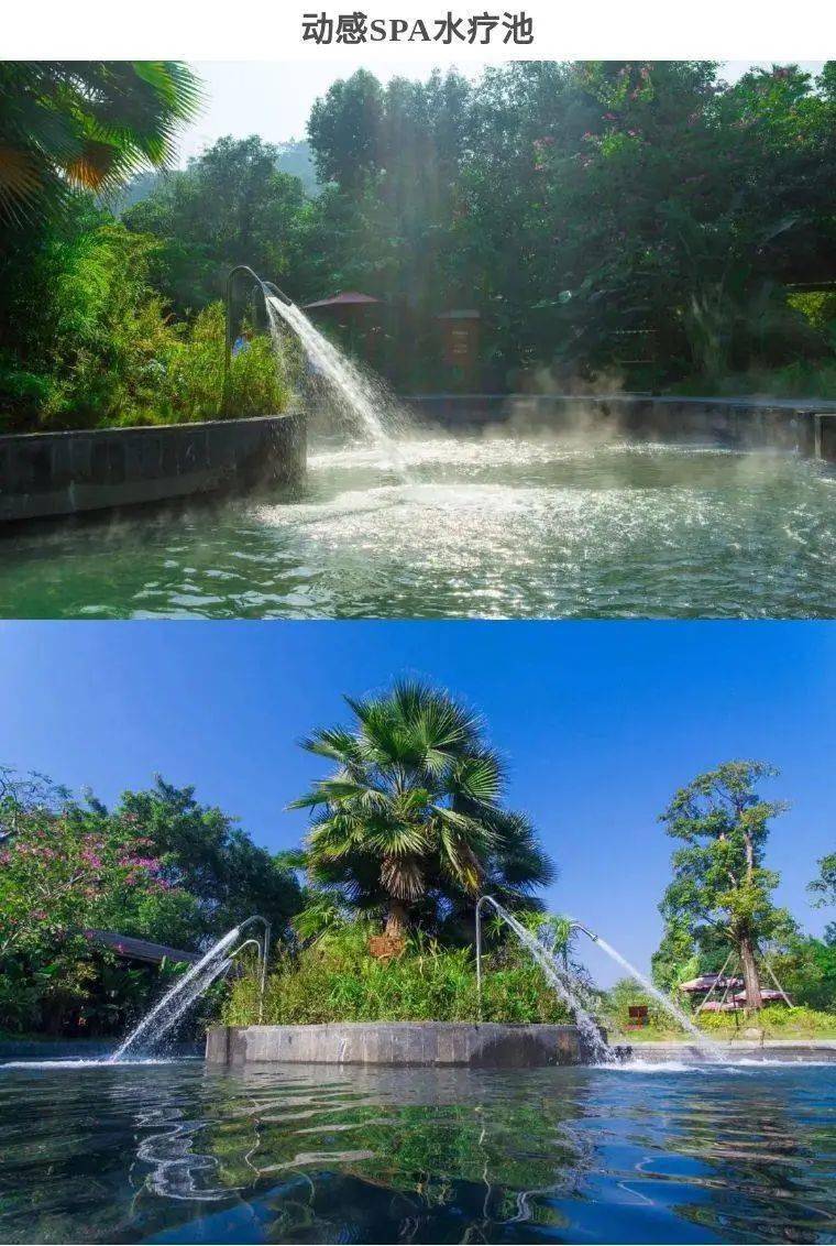 云浮新兴龙山温泉赠138元礼盒100元餐券泡泉喝茶林中氧生61六祖故里