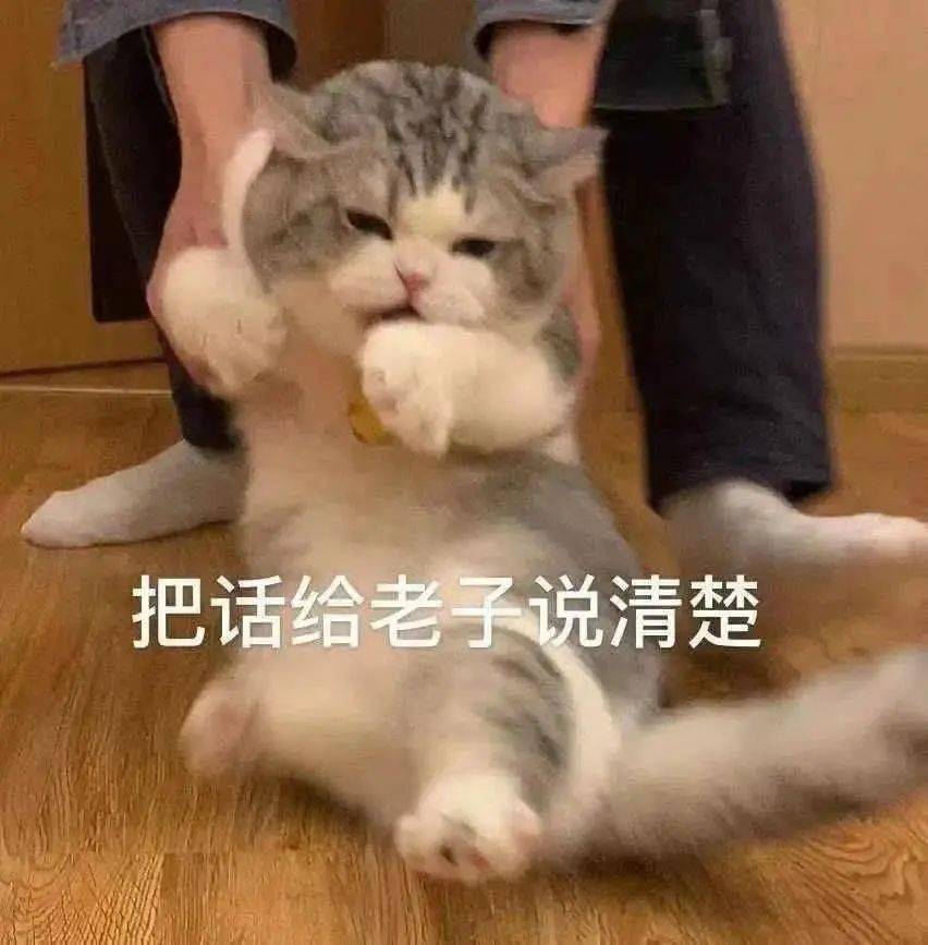 aa8e75ce73024afdb338ae85019caba6.jpeg