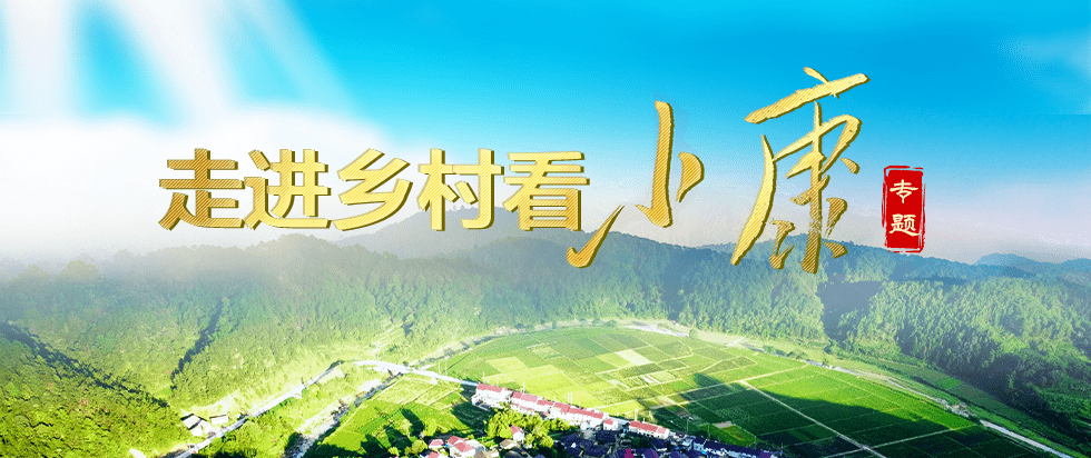 d4229cad5b6b4ceb807a5fcfd6b1bf96.png